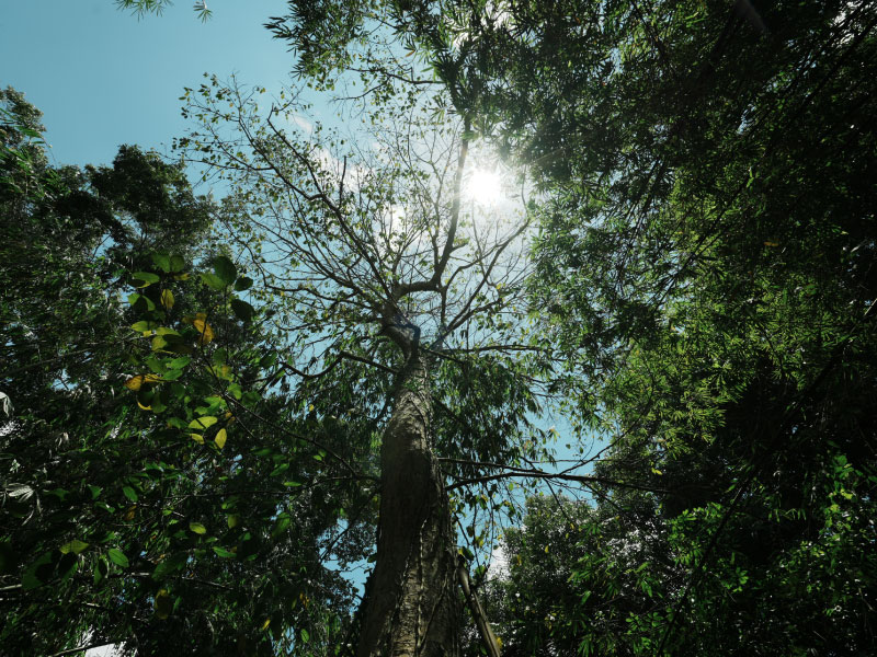 Paradigm Shift in the Context of the New Normal