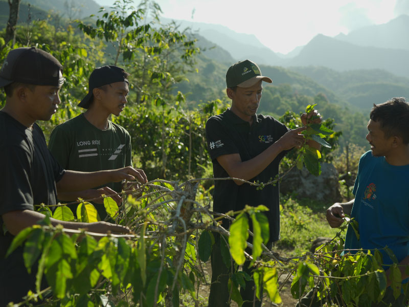 REDD+ Implementation Management