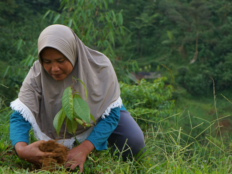 Developing and Strengthening REDD+ Architecture